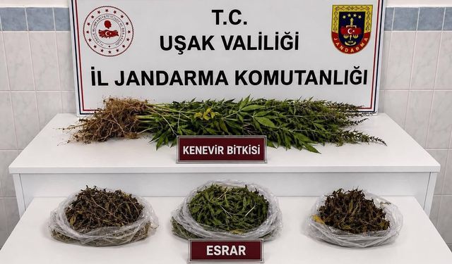 Uşak'ta kaçakçılık operasyonu