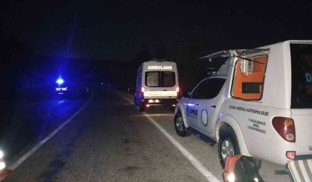 Yabani hayvana çarpan hafif ticari araç şarampole uçtu