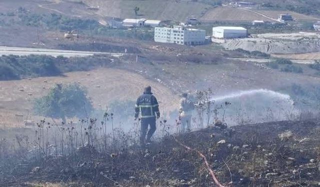 Yayladağı'nda arazi yangını geniş alana yayılmadan söndürüldü