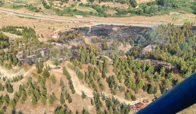 Yol kenarında başlayıp ormana sıçrayan yangın hızlı ve etkin müdahaleyle büyümeden söndürüldü