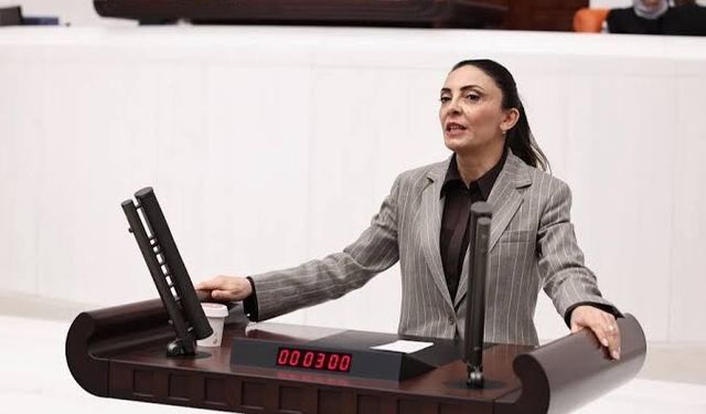Nurhayat Altaca Kayışoğlu: “Silahlar bırakılacaksa, barış olacaksa buna kim karşı çıkabilir?”