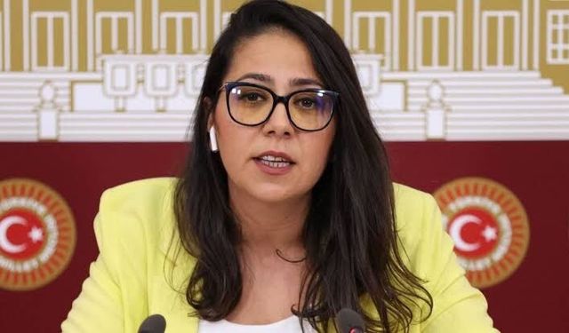 Ankara Cumhuriyet Başsavcılığı'dan Sera Kadıgil hakkında soruşturma