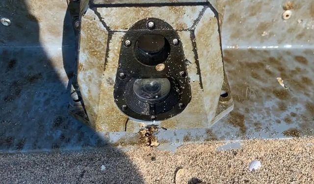 Sahile vurdu, ekipler alarma geçti