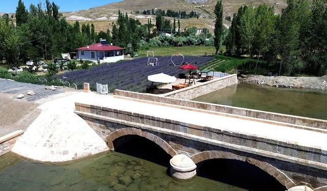 Emekli olunca uğraşmaya başladı: Şimdi tarlasına ziyaretçi yağıyor!