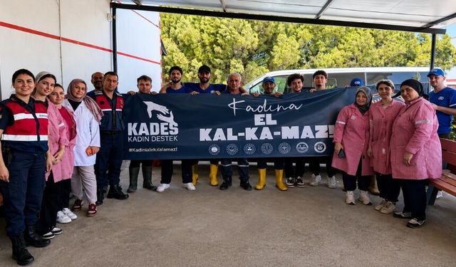 Kadınlar için hayat kurtaran uygulama! Bursa Jandarması anlattı