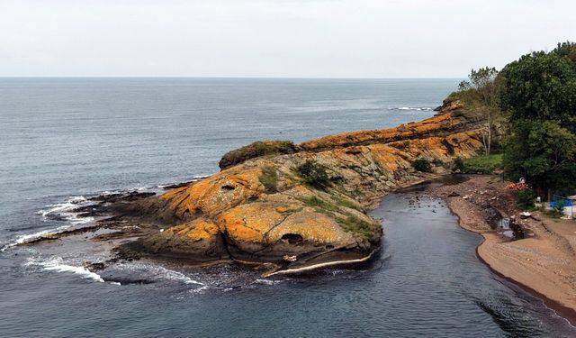 Karadeniz’de gören gözlerine inanamıyor: Dev timsahı andırıyor