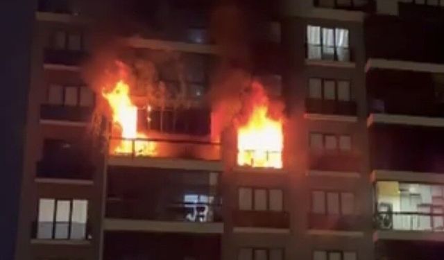 Şahin Biba’dan Nilüfer’deki yangına ilişkin açıklama