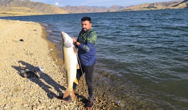 Keban Baraj Gölü’nde 30 kiloluk dev turna yakalandı