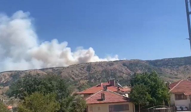 Ankara-Çankırı sınırında orman yangını