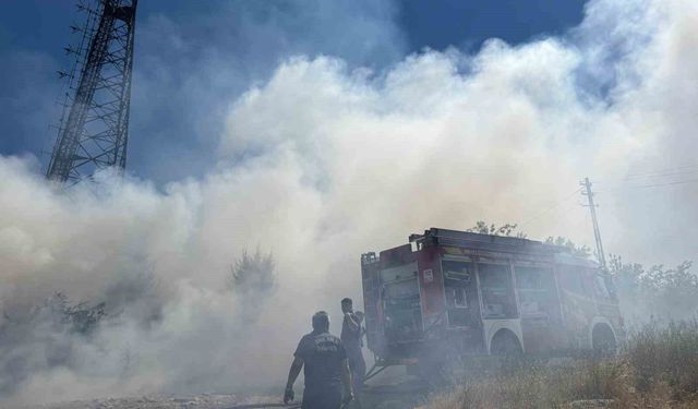 Ankara'da arazide çıkan yangın kontrol altına alındı