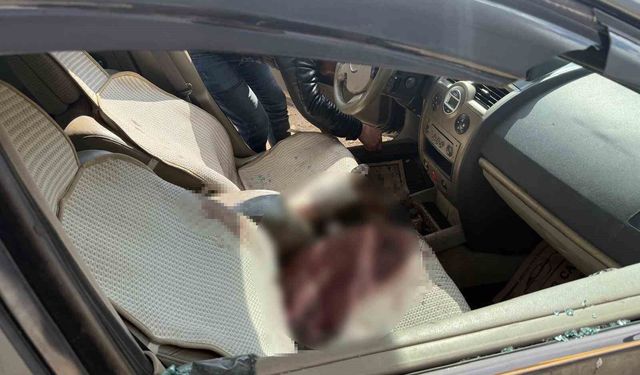 Aracında öldürülen Ali Haydar Çoban cinayetinde sanıklar 2'nci kez hakim karşısında