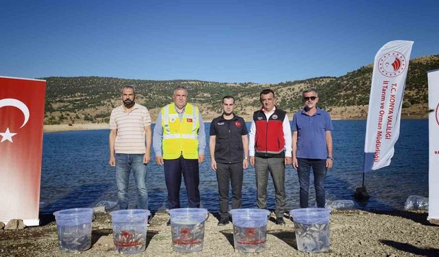 Baraj ve göletler 122 bin yavru balıkla buluştu
