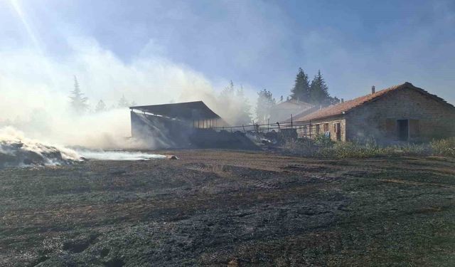 Beyşehir ve Hüyük'te çıkan anız yangınları paniğe neden oldu