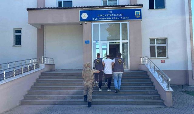 Bingöl'de jandarmadan bir haftada 41 olaya müdahale: 38 şüpheli yakalandı
