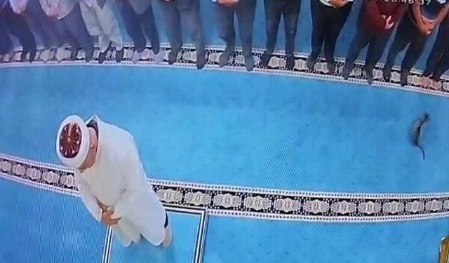 Camide kediyi tekmeleyen şahsa sosyal medyada tepki yağdı: Başsavcılık harekete geçti, gözaltına alındı