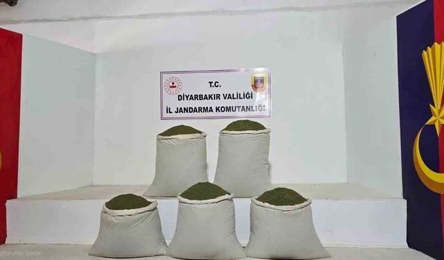 Diyarbakır'da 14 bin kök kenevir, 129 kilo esrar ele geçirildi