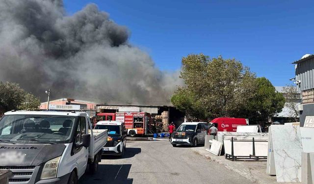 Edremit Zeytinli Sanayi Bölgesi'nde fabrika yangını: Ekipler seferber oldu