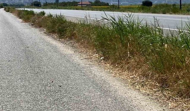 Ekiplerin hızlı müdahalesi ile alevler büyümeden kontrol altına alındı
