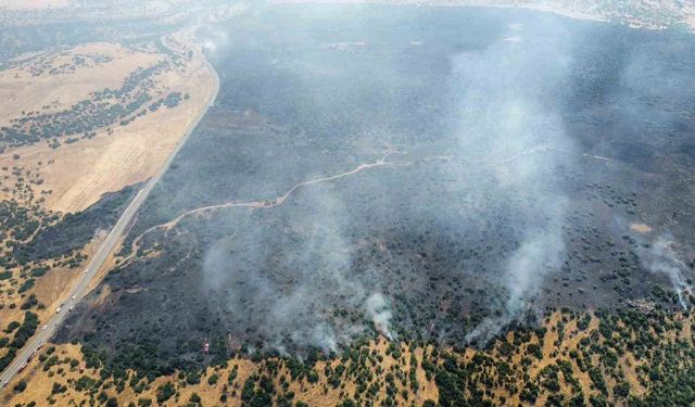 Elazığ'da kırsalda başlayan yangın ormanlık alana sıçradı: Müdahale sürüyor