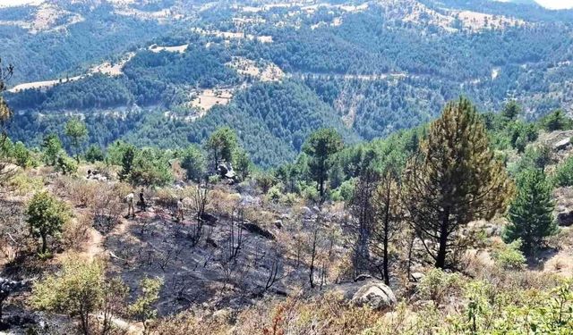 Emet'te çıkan orman yangınında 2 hektar alan zarar gördü