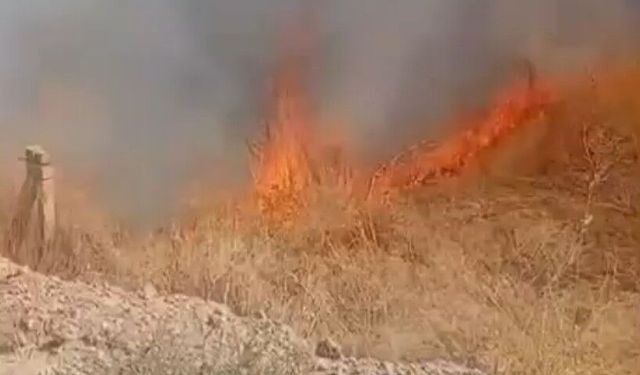Ereğli'de çıkan iki ayrı yangın paniğe neden oldu