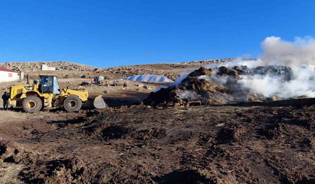 Erzurum'da 10 bin balya ot kül oldu