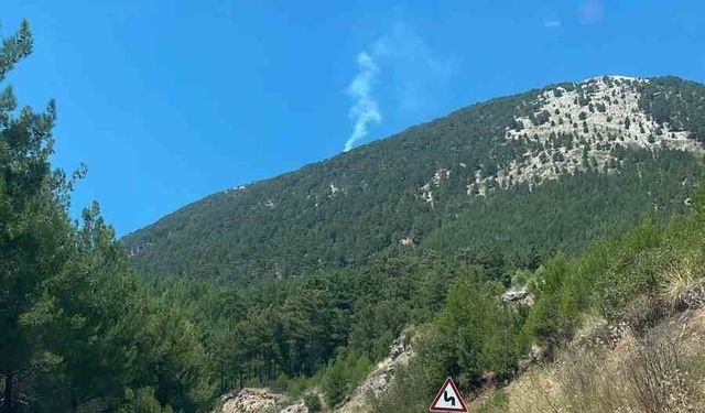 Fethiye'de orman yangını