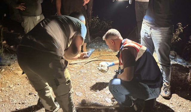 Gazipaşa'da ormanlık alanda kafatası bulundu