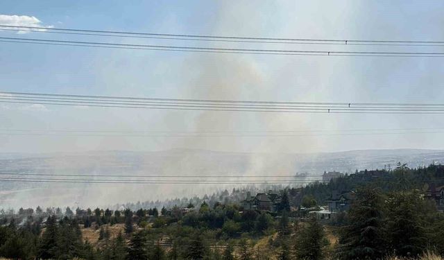 Gölbaşı'nda çıkan yangın kontrol altına alındı