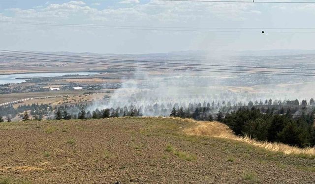 Gölbaşı'ndaki yangını söndürme çalışmaları devam ediyor