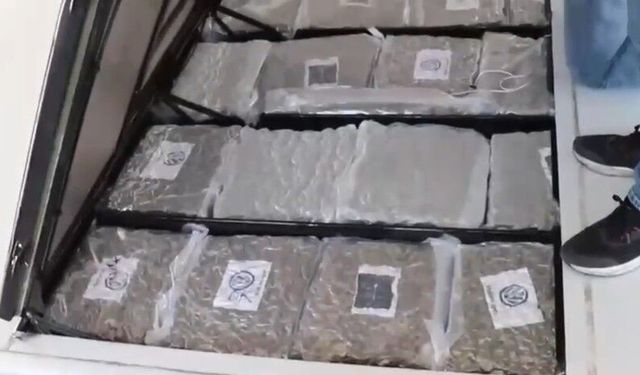Gümrük Muhafaza ekiplerinden uyuşturucu kaçakçılığına darbe: 387 kilo skunk ele geçirildi