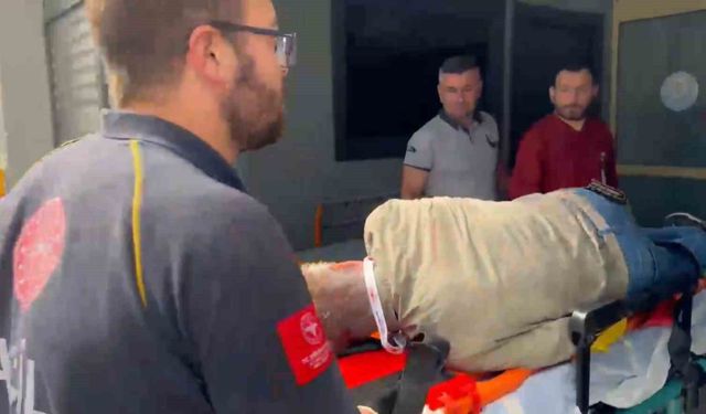 Gürcistan'dan kalkan uçak Rize'nin Pazar ilçesi açıklarında denize acil iniş yaptı