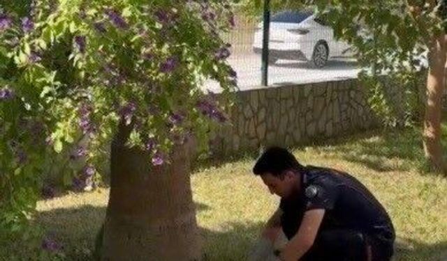 Havalandırma boşluğuna düşen 3 yavru kediyi itfaiye kurtardı