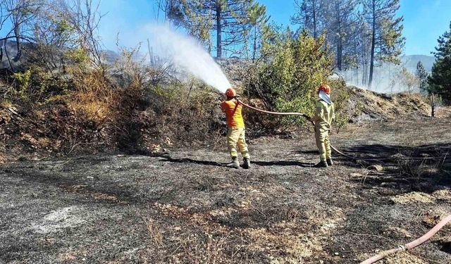 Hisarcık'ta otluk alanda çıkan yangın ormana sıçramadan söndürüldü