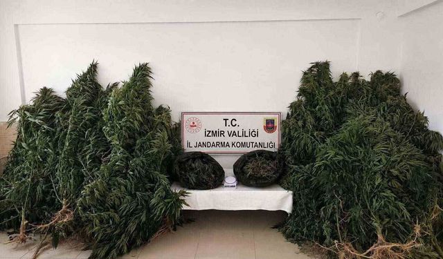İzmir'de zehir tacirlerine 'drone' destekli operasyon: 13,4 kilo esrar ele geçirildi