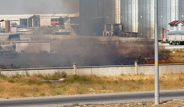 Karapınar'da ot yangını paniği