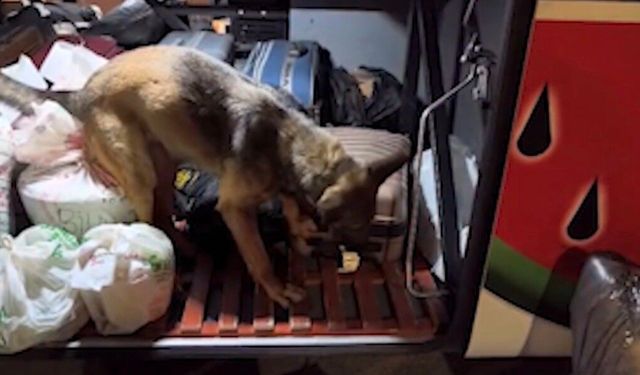 Kayseri'de yolcu otobüsü operasyonu: 3 kilo 420 gram uyuşturucuyla yakalanan 2 şüpheli tutuklandı