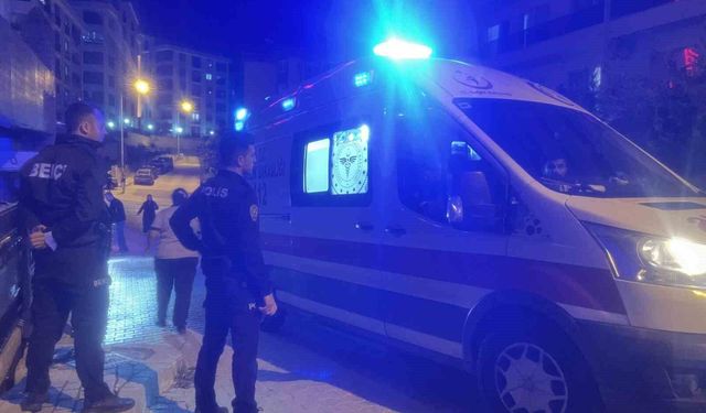 Bursa’da köpek korkusu hastanelik etti: Güvenlik görevlisi çukura düştü