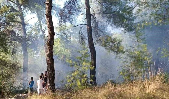 Köyceğiz'de orman yangınına erken müdahale