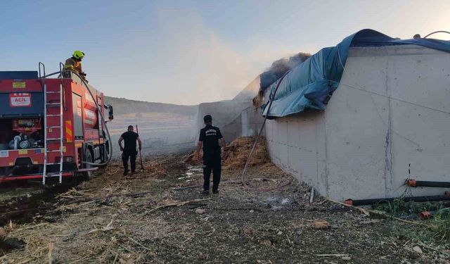 Manyas'ta çiftlikte çıkan saman yangını itfaiye ekiplerince söndürüldü