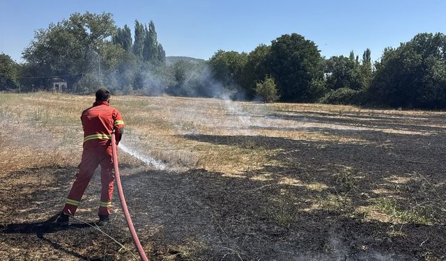 Menteşe'de çıkan anız yangını büyümeden söndürüldü