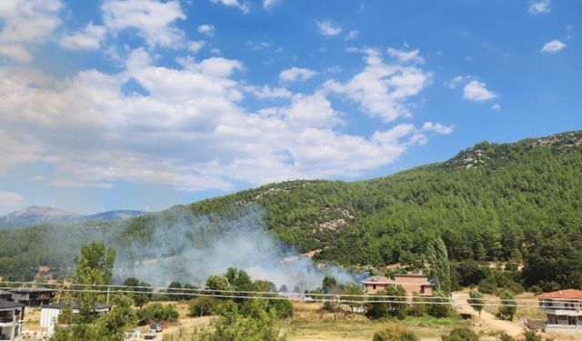 Menteşe'de otluk alanda yangın
