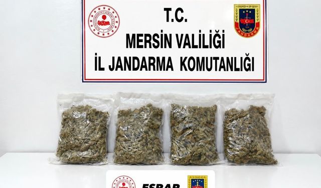 Mersin'de uyuşturucu operasyonu: 2 gözaltı