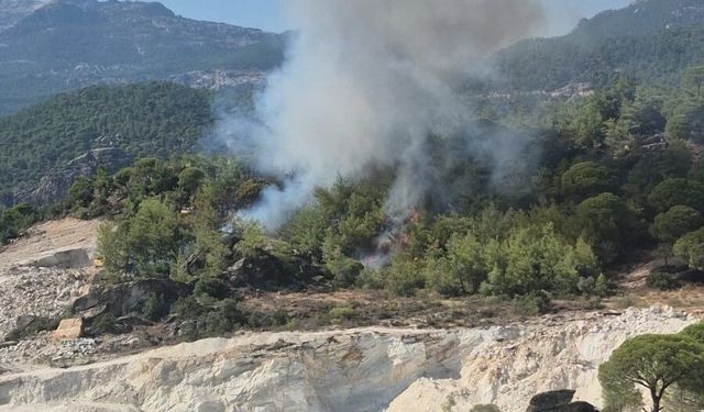 Milas'ta orman yangını