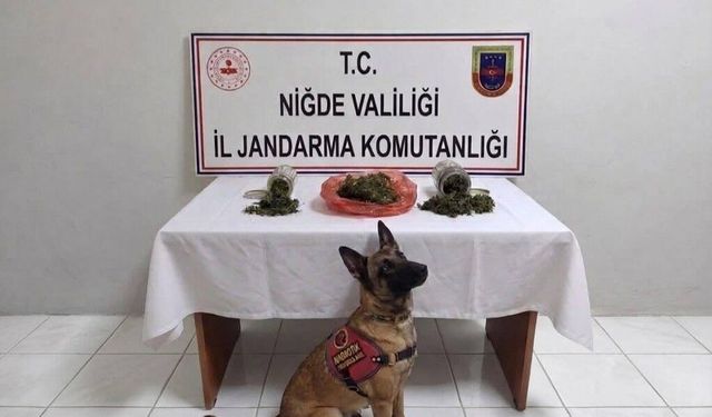 Niğde'de uyuşturucu operasyonu: 2 şüpheliye işlem yapıldı