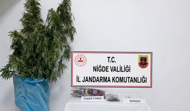 Niğde'nin Bor ilçesinde uyuşturucu operasyonu