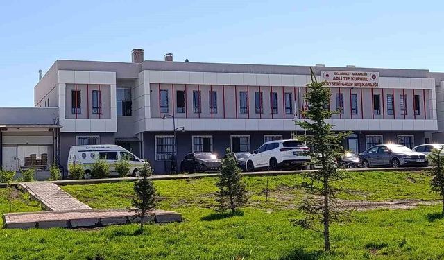 Yolun karşısına geçerken otomobil çarpan yaşlı adam öldü