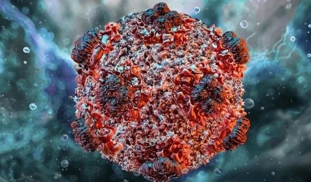 Güney Afrika’da M çiçeği alarmı: Beş haftada 13 yeni vaka