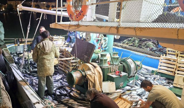 Palamut bereketi tezgaha vurdu: Bu fiyatı gören sevindi