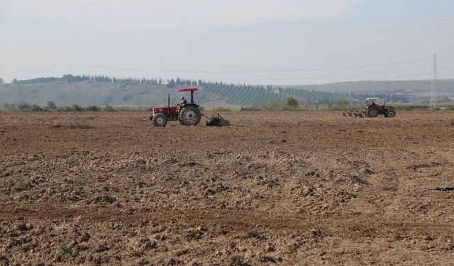 Bursa’da 150 dekarlık yapay mera kuruluyor